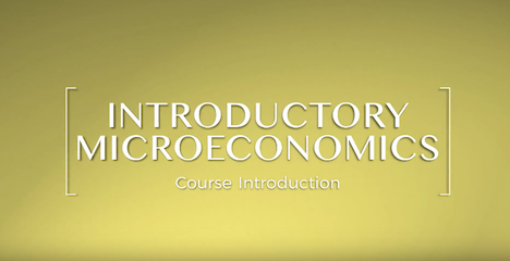 Introductory Microeconomics ECON1010S_TEST